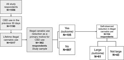 A “Good” Smoke? The Off-Label Use of Cannabidiol to Reduce Cannabis Use